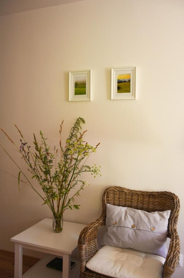Stylovy Apartman V Srdci Donovalov 도노발리 외부 사진